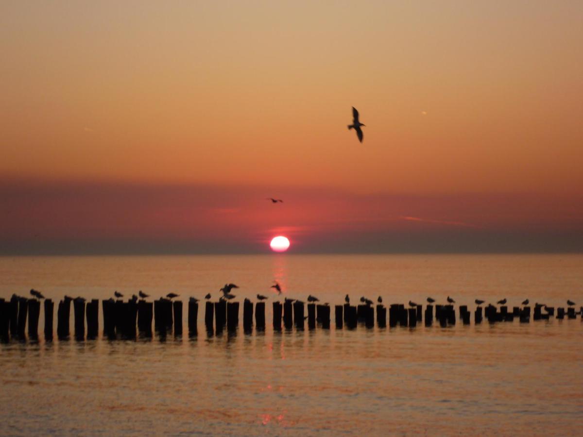 Vakantiehuis Domburg Do12 エクステリア 写真